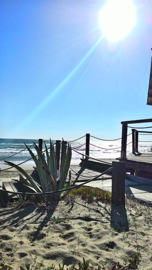 Casa Vacanze The Flea'S Home 폰디 외부 사진